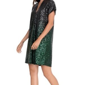 Johnny Was Sequin Ratanaa Dress